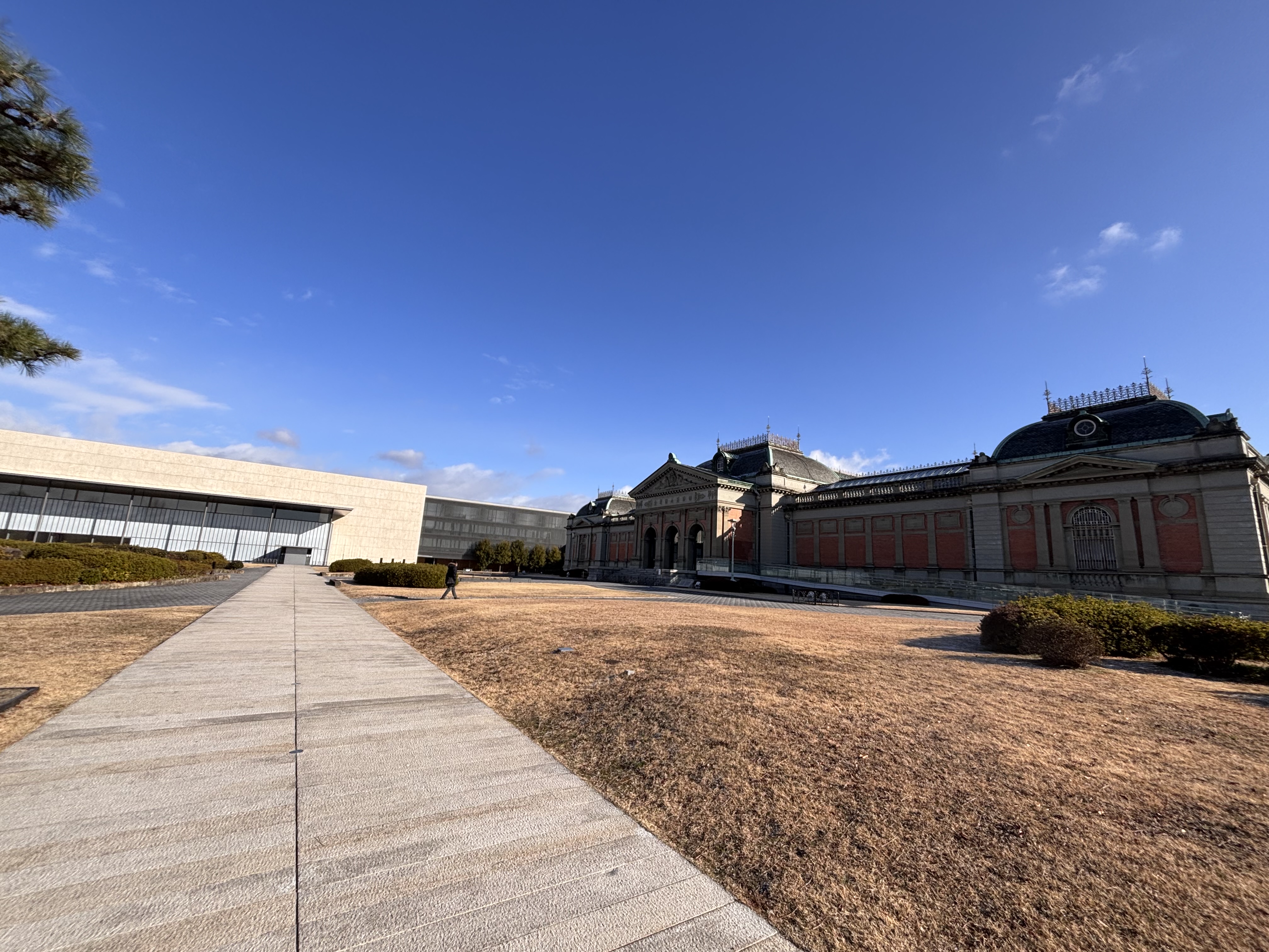 京博に行こう！その２ はじめての京博